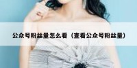 公众号粉丝量怎么看（查看公众号粉丝量）