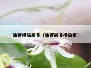 油管播放最多（油管最多播放量）