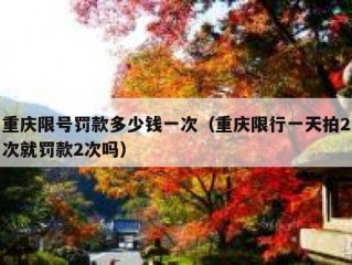重庆限号罚款多少钱一次（重庆限行一天拍2次就罚款2次吗）