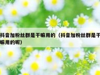 抖音加粉丝群是干嘛用的（抖音加粉丝群是干嘛用的呢）