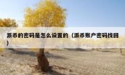 派币的密码是怎么设置的（派币账户密码找回）