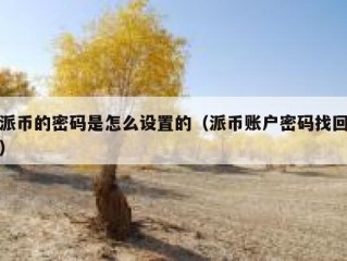 派币的密码是怎么设置的（派币账户密码找回）