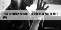 抖音加粉服务在哪里（抖音加粉服务在哪里打开）