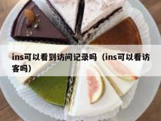 ins可以看到访问记录吗（ins可以看访客吗）