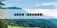 油管在哪（油管在哪里看）