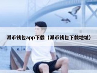 派币钱包app下载（派币钱包下载地址）