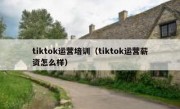 tiktok运营培训（tiktok运营薪资怎么样）