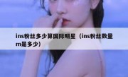 ins粉丝多少算国际明星（ins粉丝数量m是多少）