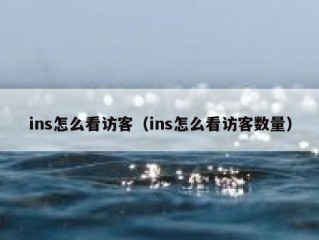 ins怎么看访客（ins怎么看访客数量）