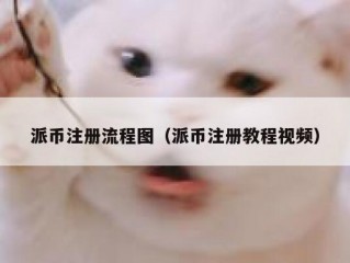 派币注册流程图（派币注册教程视频）
