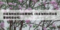 抖音加粉丝团以后要钱吗（抖音加粉丝团以后要钱吗安全吗）