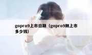 gopro9上市日期（gopro9刚上市多少钱）
