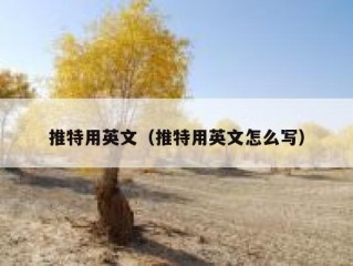 推特用英文（推特用英文怎么写）