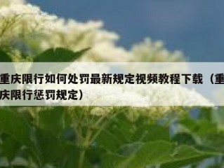 重庆限行如何处罚最新规定视频教程下载（重庆限行惩罚规定）