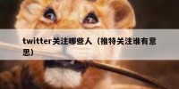 twitter关注哪些人（推特关注谁有意思）