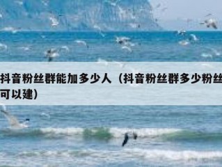 抖音粉丝群能加多少人（抖音粉丝群多少粉丝可以建）