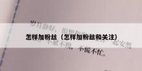 怎样加粉丝（怎样加粉丝和关注）