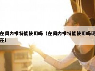 在国内推特能使用吗（在国内推特能使用吗现在）