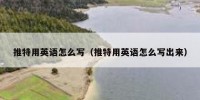 推特用英语怎么写（推特用英语怎么写出来）