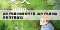 派币手机钱包操作教程下载（派币手机钱包操作教程下载安装）