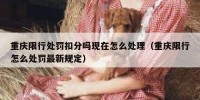 重庆限行处罚扣分吗现在怎么处理（重庆限行怎么处罚最新规定）