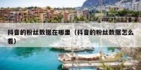 抖音的粉丝数据在哪里（抖音的粉丝数据怎么看）