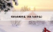 tiktok叫什么（tik tok什么）