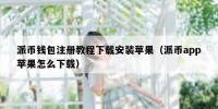 派币钱包注册教程下载安装苹果（派币app苹果怎么下载）