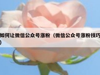 如何让微信公众号涨粉（微信公众号涨粉技巧）