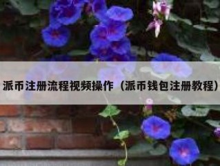 派币注册流程视频操作（派币钱包注册教程）