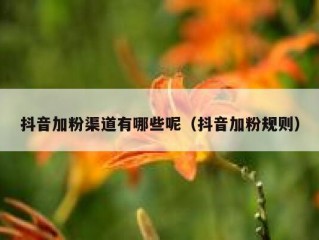 抖音加粉渠道有哪些呢（抖音加粉规则）