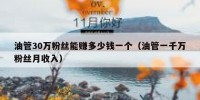 油管30万粉丝能赚多少钱一个（油管一千万粉丝月收入）