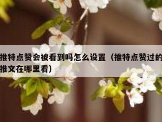 推特点赞会被看到吗怎么设置（推特点赞过的推文在哪里看）