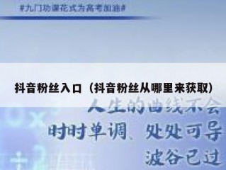抖音粉丝入口（抖音粉丝从哪里来获取）
