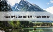 抖音加粉项目怎么做的视频（抖音加粉赚钱）