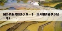 国外的服务器多少钱一个（国外服务器多少钱一年）