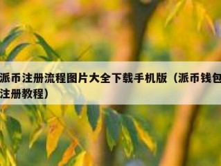 派币注册流程图片大全下载手机版（派币钱包注册教程）