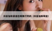 抖音加粉渠道在哪里打开的（抖音加粉项目）