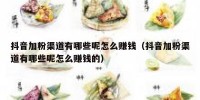 抖音加粉渠道有哪些呢怎么赚钱（抖音加粉渠道有哪些呢怎么赚钱的）