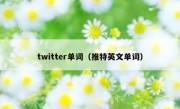 twitter单词（推特英文单词）