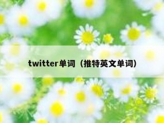 twitter单词（推特英文单词）