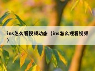 ins怎么看视频动态（ins怎么观看视频）