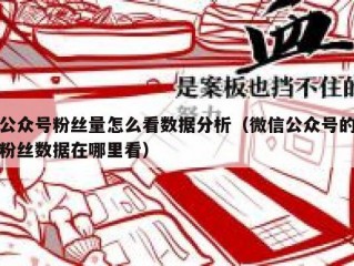 公众号粉丝量怎么看数据分析（微信公众号的粉丝数据在哪里看）