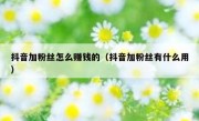 抖音加粉丝怎么赚钱的（抖音加粉丝有什么用）