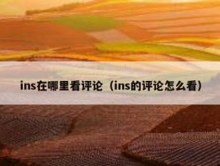 ins在哪里看评论（ins的评论怎么看）