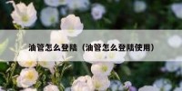 油管怎么登陆（油管怎么登陆使用）