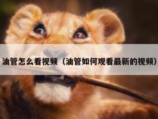 油管怎么看视频（油管如何观看最新的视频）