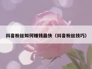 抖音粉丝如何赚钱最快（抖音粉丝技巧）