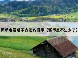 派币老是进不去怎么回事（派币点不进去了）