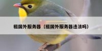 租国外服务器（租国外服务器违法吗）